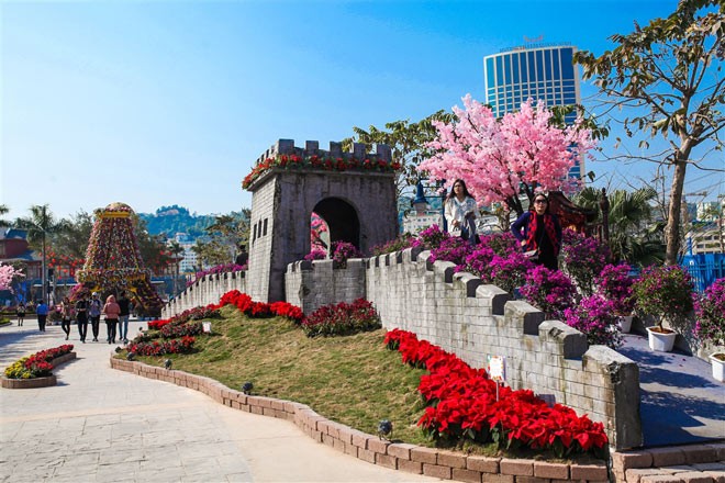 Hạ Long: Du khách mãn nhãn với lễ hội 'Kỳ quan muôn sắc hoa' độc lạ ảnh 1