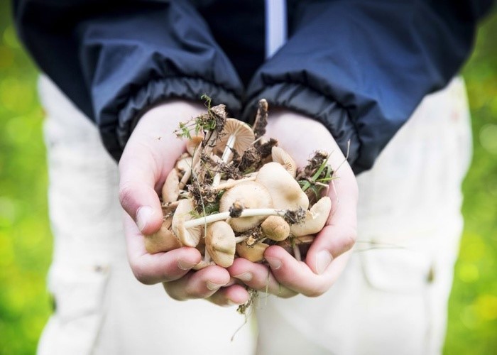 Những xu hướng du lịch không thể bỏ qua trong năm 2018 ảnh 3