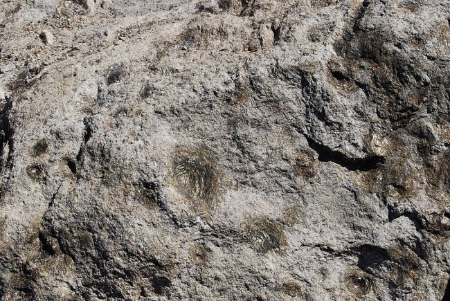 Bí ẩn những tảng đá biết 'sinh con' ở Bồ Đào Nha ảnh 2