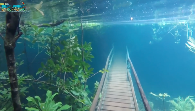 Ngập lụt biến khu bảo tồn thiên nhiên ở Brazil thành thủy cung ảnh 2