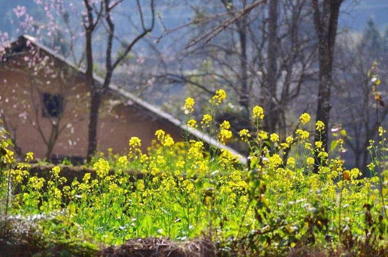 Những điểm đến siêu chất trong tháng 3 ảnh 4