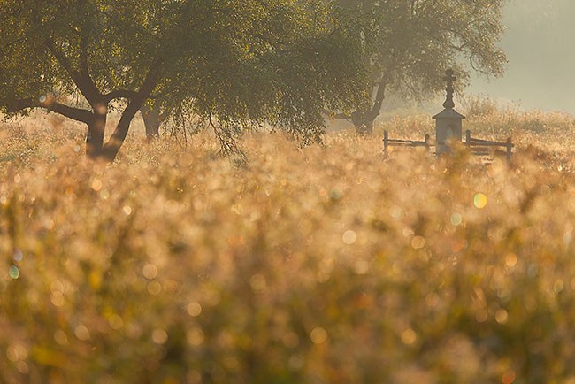 Quang cảnh tuyệt đẹp của đường biên giới giữa Ba Lan và Slovakia ảnh 6