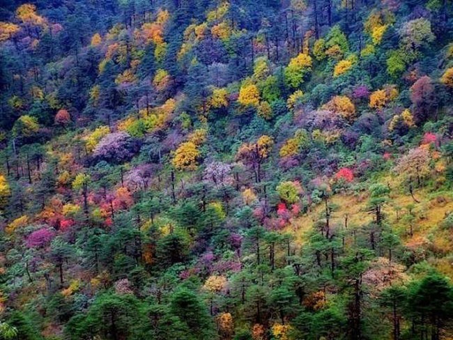 Những địa điểm đẹp như mơ không thể bỏ qua ở Ấn Độ ảnh 3