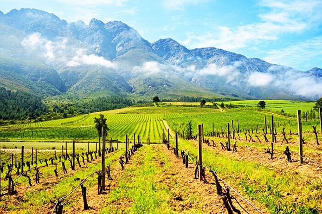 Đi nghỉ trăng mật ở Châu Phi, tại sao không? ảnh 8