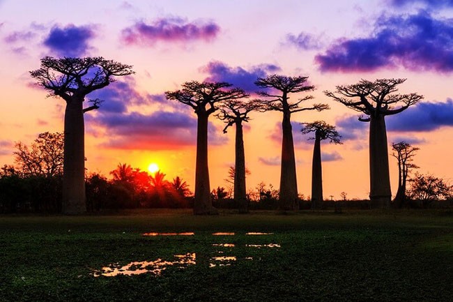 Đi nghỉ trăng mật ở Châu Phi, tại sao không? ảnh 9