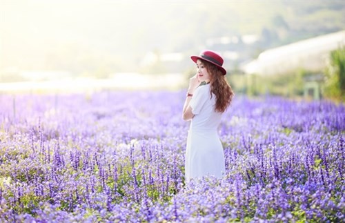 Cánh đồng hoa mới toanh ở Đà Lạt đẹp 'ngất ngây' đốn tim du khách. ảnh 3