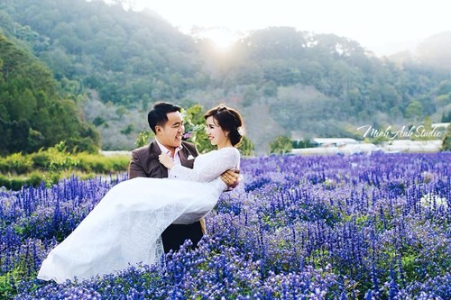 Cánh đồng hoa mới toanh ở Đà Lạt đẹp 'ngất ngây' đốn tim du khách. ảnh 4