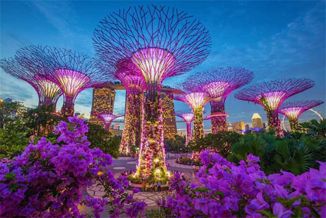 Ăn gì, chơi gì nếu chỉ có 24 giờ ở Singapore ảnh 1