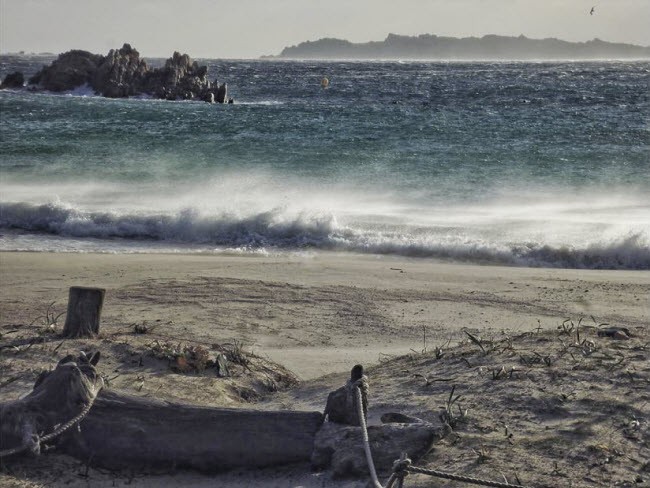 Hòn đảo chỉ có 1 cư dân ở Italia ảnh 3