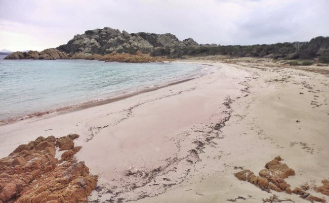 Hòn đảo chỉ có 1 cư dân ở Italia ảnh 4