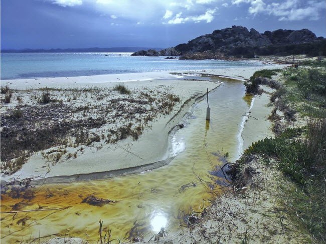 Hòn đảo chỉ có 1 cư dân ở Italia ảnh 6