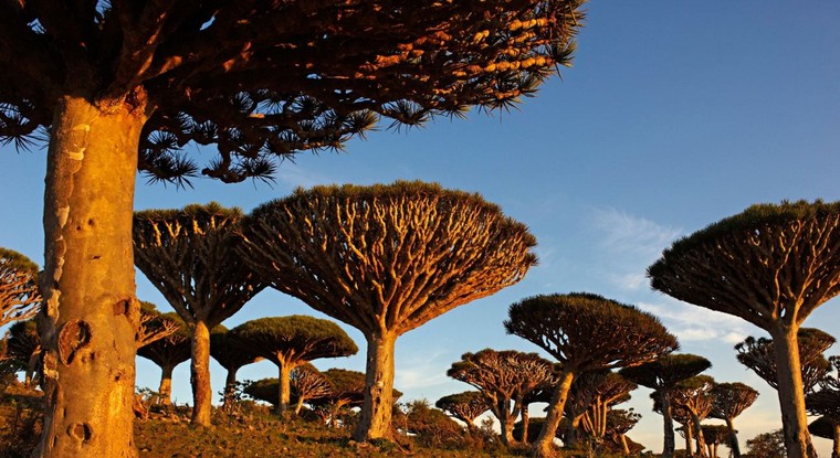 Những địa điểm đẹp kỳ lạ đến mức khó tin chúng tồn tại ảnh 8