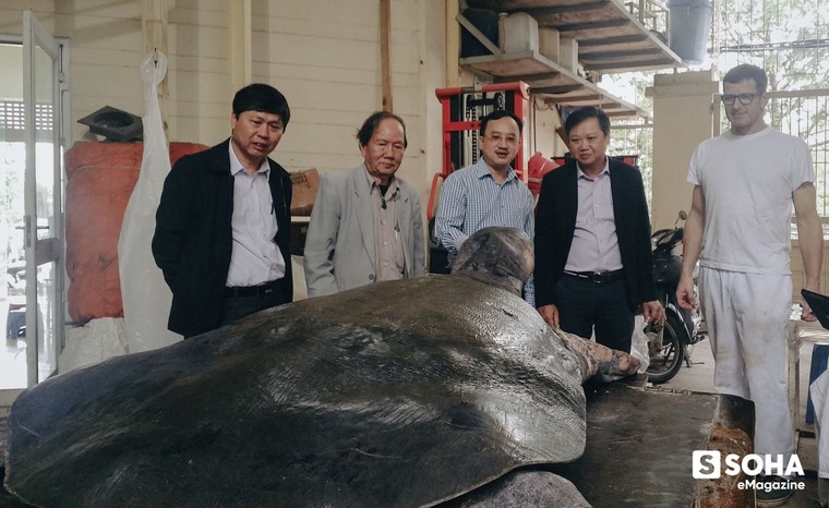 PGS.TS Hà Đình Đức lần đầu kể về những ngày cuối đời của Cụ Rùa Hồ Gươm ảnh 16