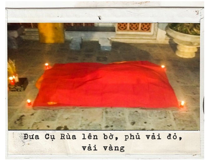 PGS.TS Hà Đình Đức lần đầu kể về những ngày cuối đời của Cụ Rùa Hồ Gươm ảnh 3