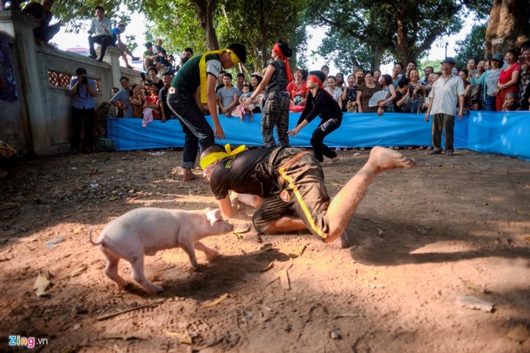 Thi nấu cơm, bắt lợn vui nhộn giữa Thủ đô ảnh 9