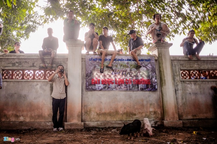 Thi nấu cơm, bắt lợn vui nhộn giữa Thủ đô ảnh 11