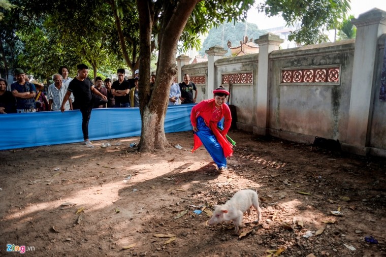 Thi nấu cơm, bắt lợn vui nhộn giữa Thủ đô ảnh 5