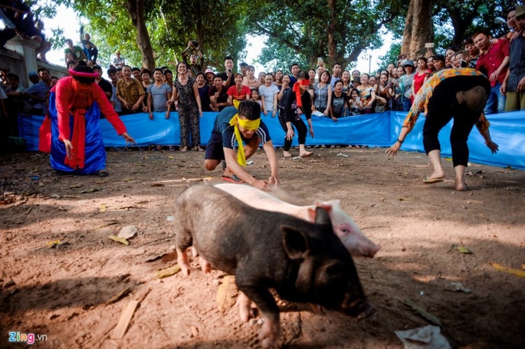 Thi nấu cơm, bắt lợn vui nhộn giữa Thủ đô ảnh 8