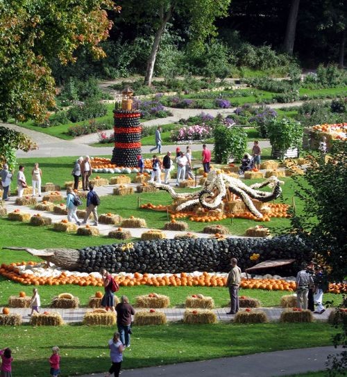 Lễ hội Bí ngô: Triển lãm độc đáo nhất châu Âu tại Đức ảnh 1