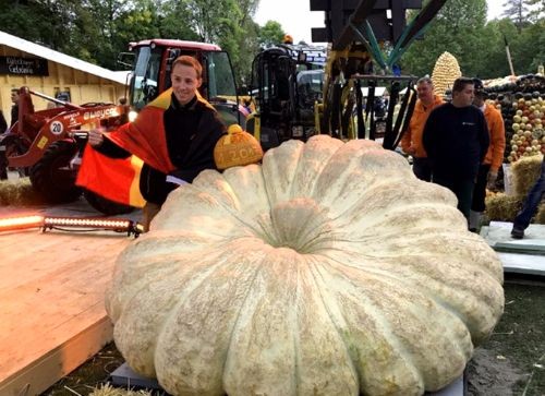Lễ hội Bí ngô: Triển lãm độc đáo nhất châu Âu tại Đức ảnh 3