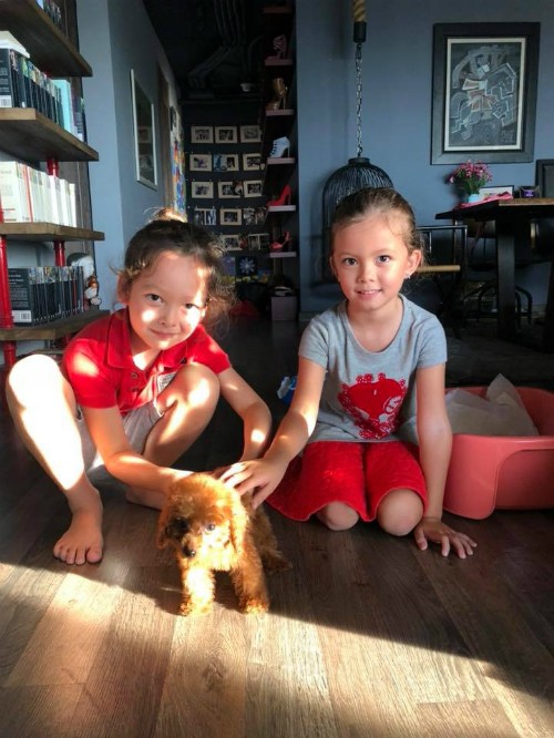 Hồng Nhung chia sẻ nhật ký một ngày hậu ly hôn ảnh 5