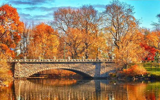 Vương quốc lá phong khi vào thu đẹp như tranh vẽ ảnh 3