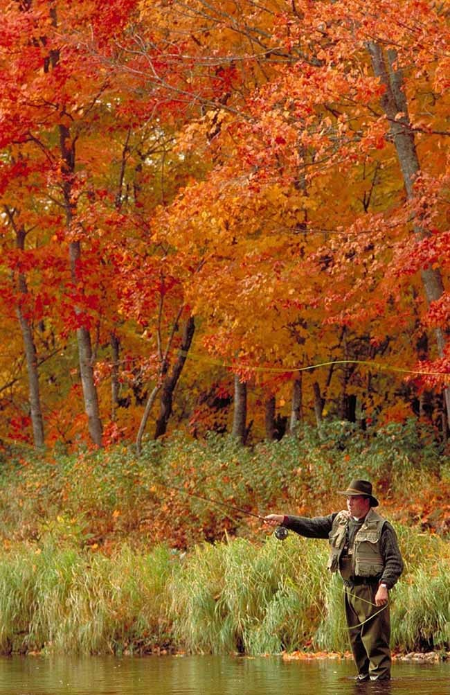 Vương quốc lá phong khi vào thu đẹp như tranh vẽ ảnh 7