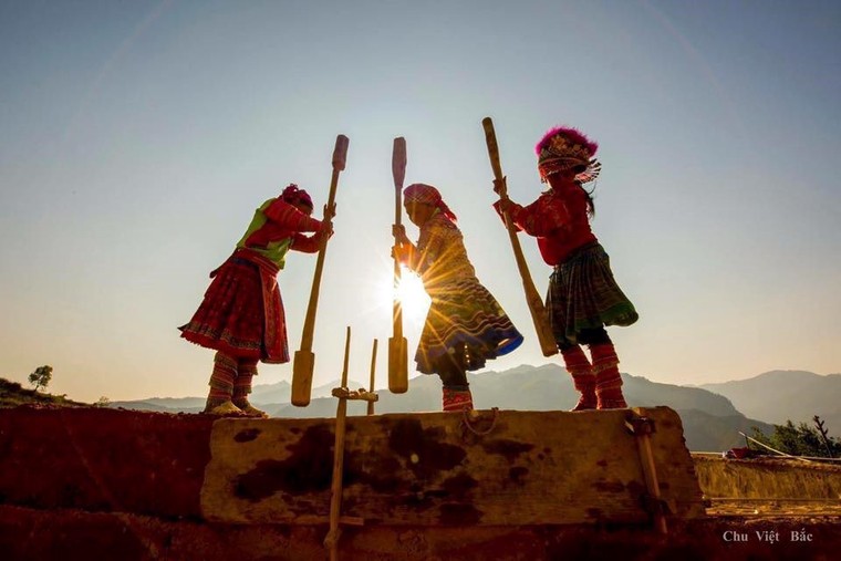 Ngỡ ngàng cảnh sắc Hoàng Su Phì 'mùa vàng' ảnh 2