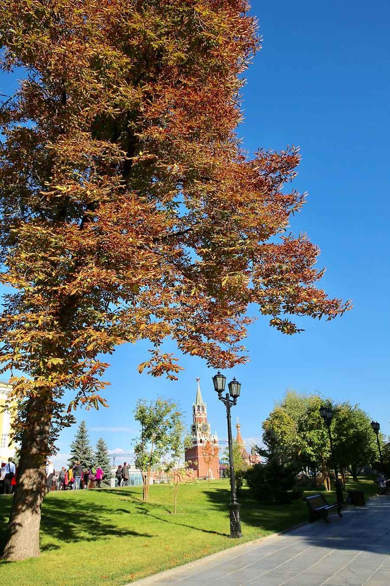 Mùa thu nước Nga đến muộn vẫn hút hồn bao du khách ảnh 1