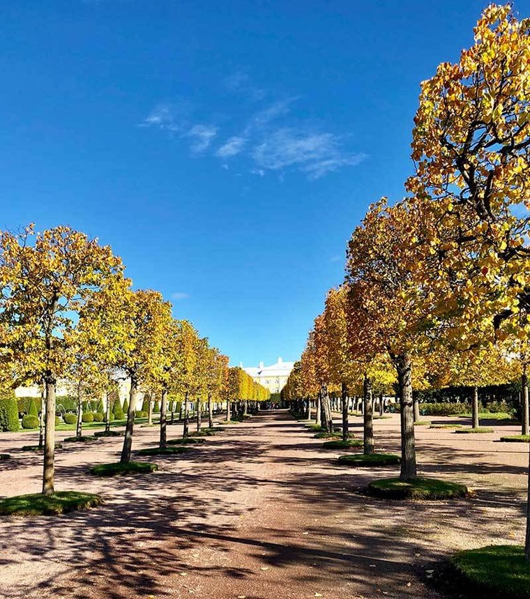 Mùa thu nước Nga đến muộn vẫn hút hồn bao du khách ảnh 4