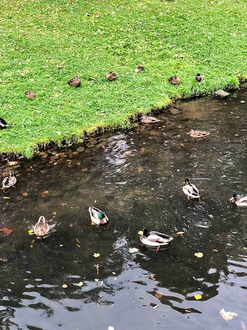 Mùa thu nước Nga đến muộn vẫn hút hồn bao du khách ảnh 6