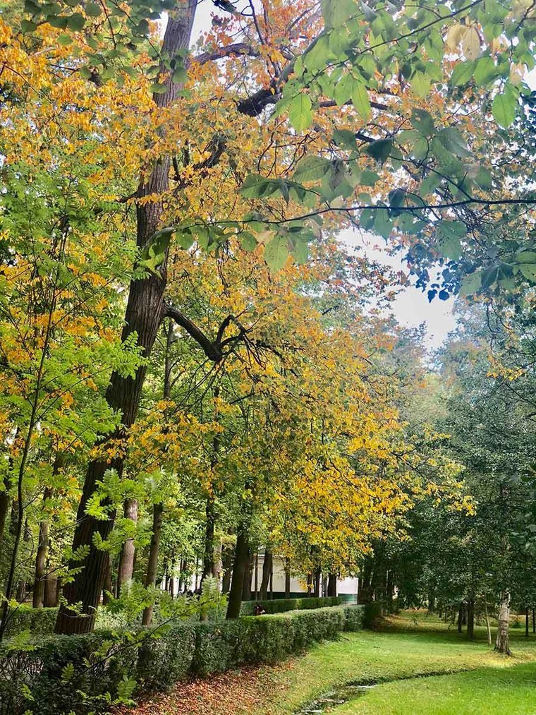 Mùa thu nước Nga đến muộn vẫn hút hồn bao du khách ảnh 7