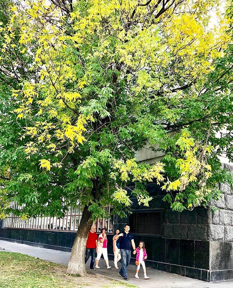 Mùa thu nước Nga đến muộn vẫn hút hồn bao du khách ảnh 8