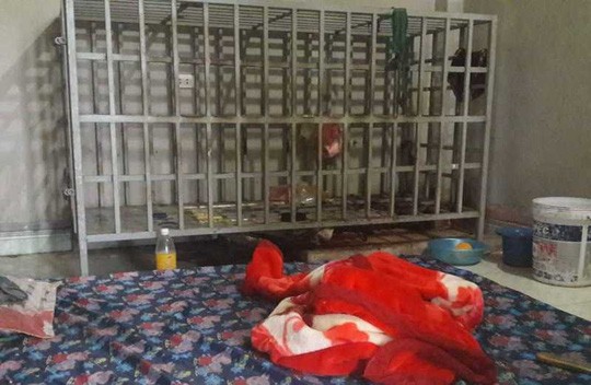 Thực hư người đàn ông bị vợ nhốt trong lồng sắt hơn 3 năm ảnh 2