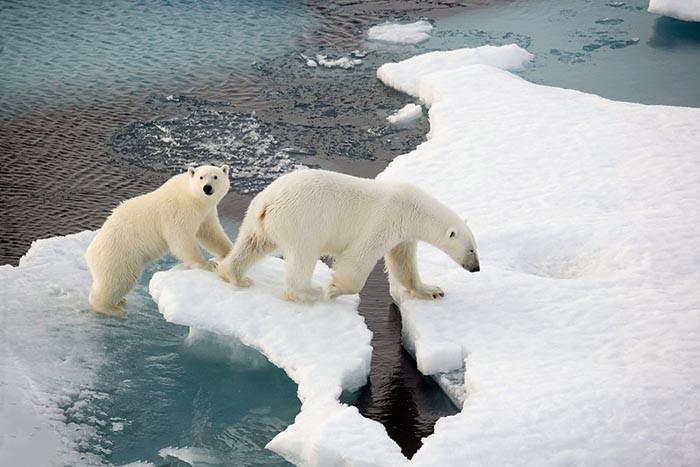 Thành phố duy nhất trên thế giới cấm sinh con, cấm tử vong ảnh 4