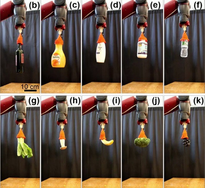 Chế tạo thành công robot có thể nâng mọi thứ có trọng lượng gấp 100 lần chính nó ảnh 1