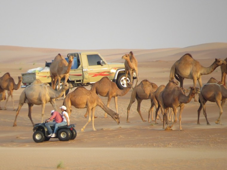 Đến Dubai không chỉ để 'đốt tiền' ảnh 3