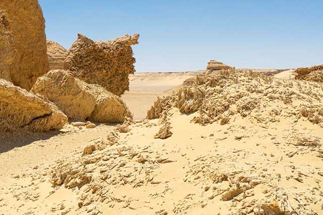 Bí ẩn thung lũng cá voi kỳ lạ giữa sa mạc khô cằn ảnh 3