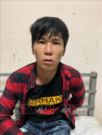 Triệt phá đường dây mua bán ma túy số lượng lớn từ Điện Biên về Hà Nội ảnh 1