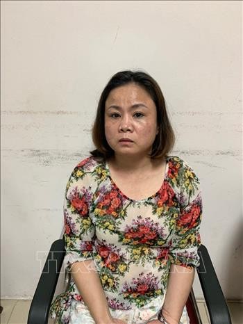 Triệt phá đường dây mua bán ma túy số lượng lớn từ Điện Biên về Hà Nội ảnh 2