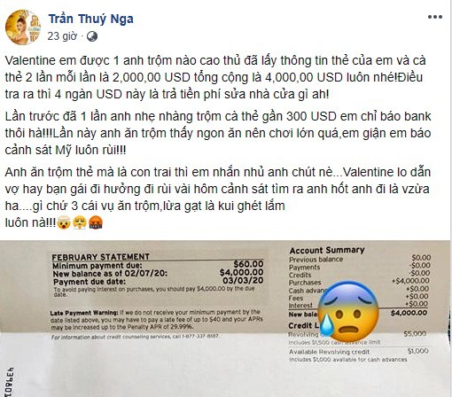 Danh hài Thúy Nga bị trộm thông tin, mất gần trăm triệu ở Mỹ ngày Valentine ảnh 1