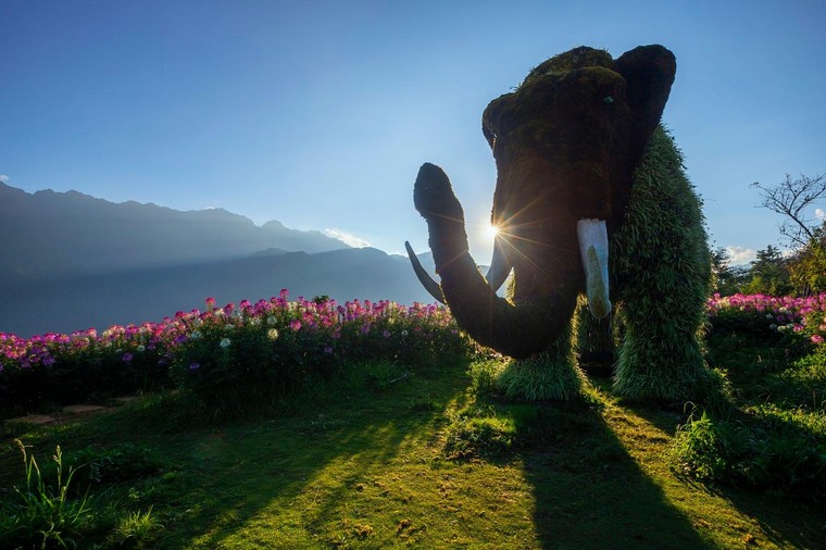 Ngắm Sa Pa đẹp lịm tim dù vắng bóng du khách ảnh 7