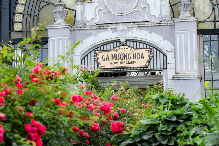 Ngắm Sa Pa đẹp lịm tim dù vắng bóng du khách ảnh 4