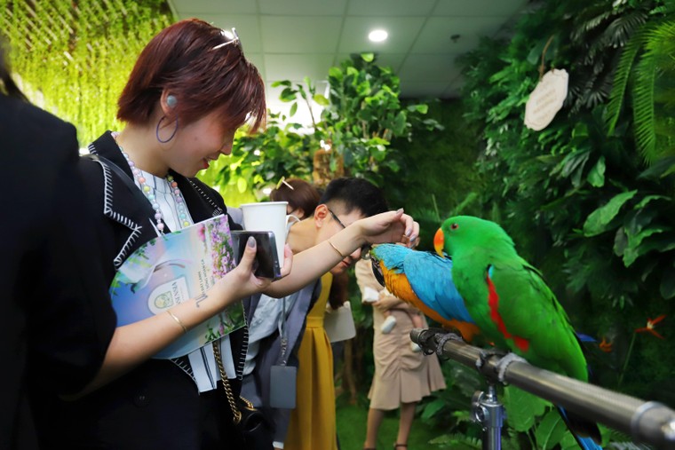 Phú Long ra mắt thành công tháp đôi căn hộ cao cấp đầu tiên trong quần thể Essensia Nam Sài Gòn ảnh 4