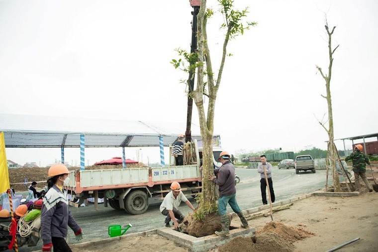 TNG Holdings Vietnam phát động Tết trồng cây, tạo không gian xanh cho đô thị ảnh 2