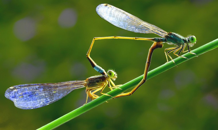 Nguyễn Ngọc Huấn: Người nghệ sĩ đi góp nhặt từng khoảnh khắc cuộc sống ảnh 3