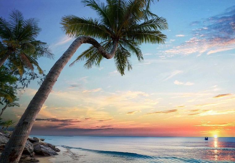 TikToker hot-hit 'mách' những góc check-in đẹp - độc - đỉnh trước giờ G siêu nhạc hội 8Wonder ảnh 10