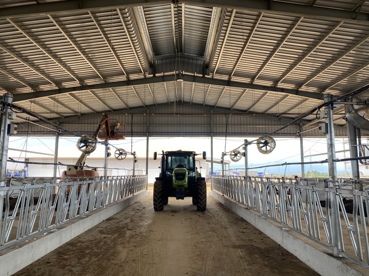 Tập đoàn TH nhập khẩu 2009 bò sữa cao sản thuần chủng từ Mỹ về trang trại Thanh Hóa ảnh 3