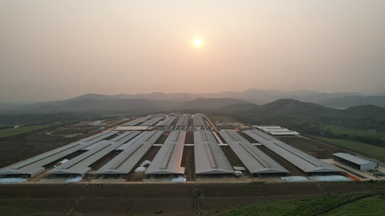 Tập đoàn TH nhập khẩu 2009 bò sữa cao sản thuần chủng từ Mỹ về trang trại Thanh Hóa ảnh 5