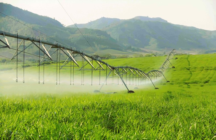 “Tạo giá trị kinh tế, thúc đẩy phát triển ngành sữa, đánh thức nguồn lực tinh thần quý giá là lòng tự hào dân tộc” ảnh 3